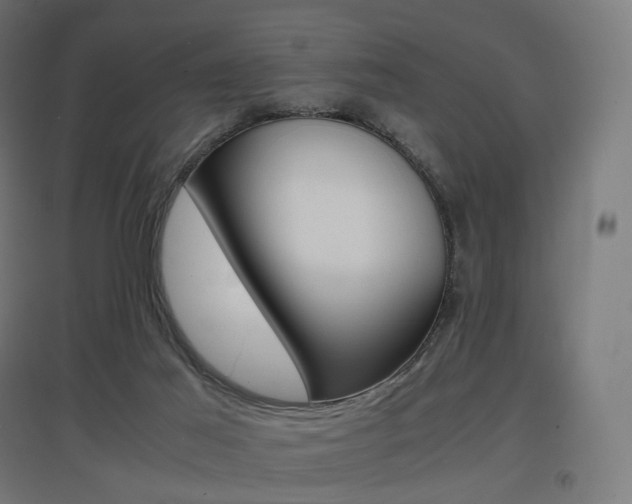 X0000097620021200802290830