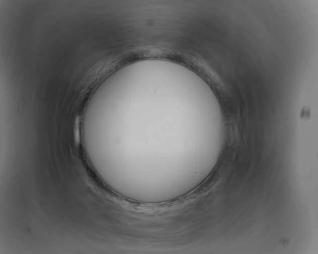 X0000097620022200802290830
