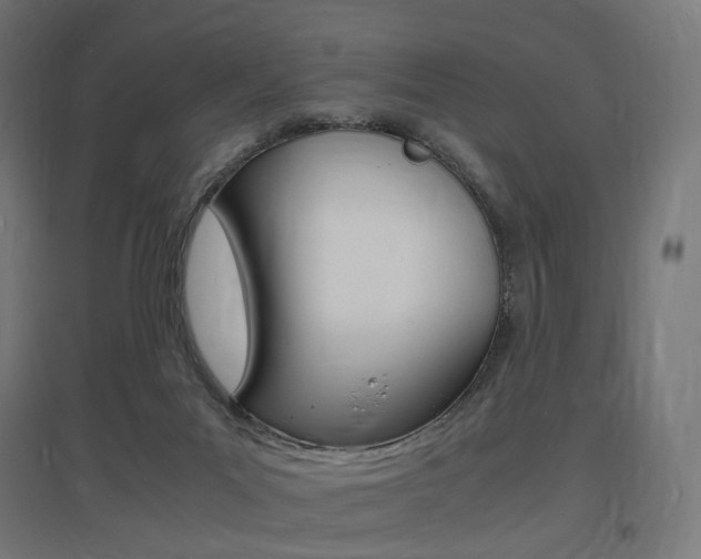 X0000097620023200802290830