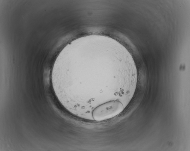 X0000097620024200802290830