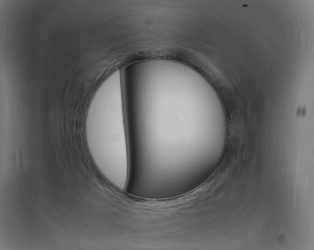 X0000097620025200802290830