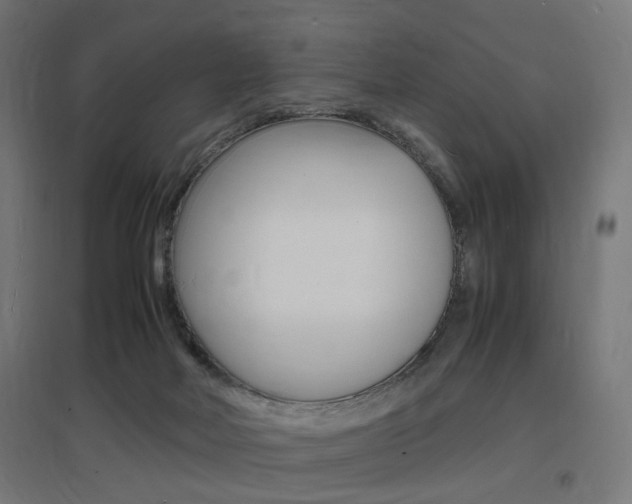 X0000097620026200802290830