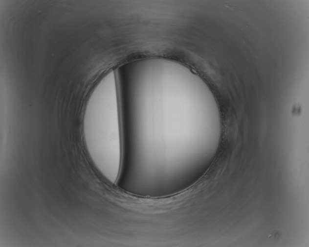 X0000097620027200802290830