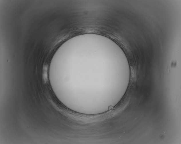 X0000097620028200802290830