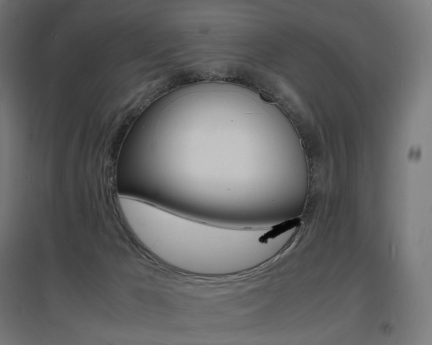 X0000097620029200802290830