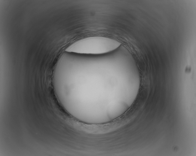 X0000097620030200802290830