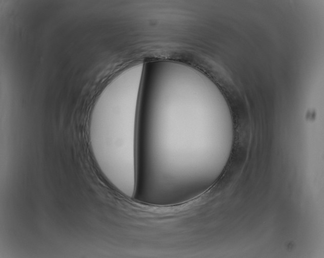X0000097620031200802290830