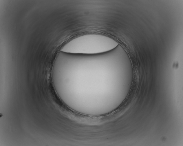 X0000097620032200802290830