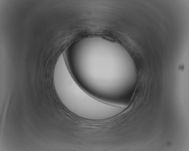 X0000097620033200802290830