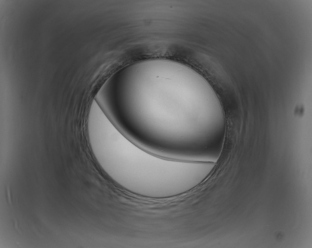 X0000097620035200802290830