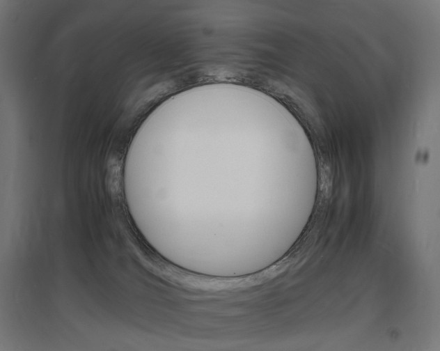 X0000097620036200802290830