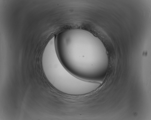 X0000097620037200802290830