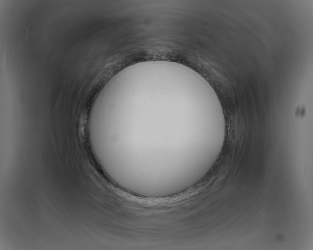 X0000097620038200802290830