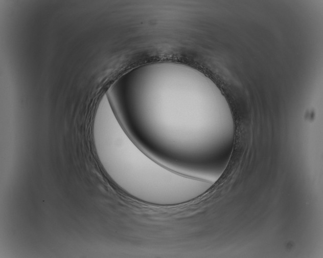 X0000097620039200802290830