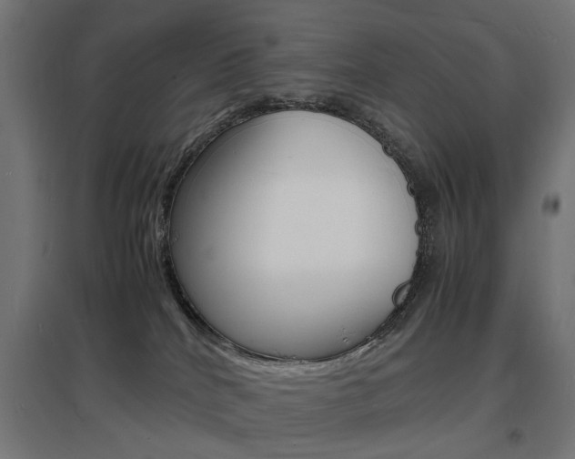 X0000097620040200802290830