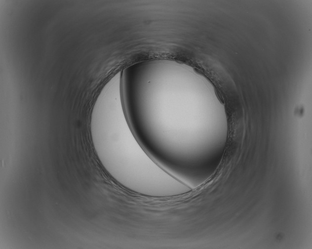X0000097620041200802290830