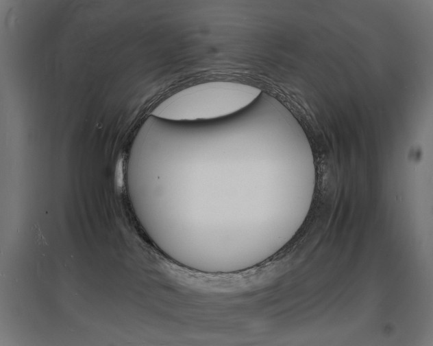 X0000097620042200802290830