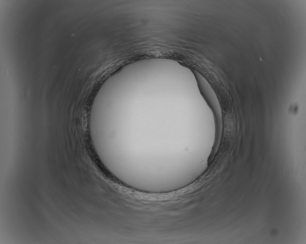 X0000097620043200802290830