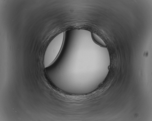X0000097620044200802290830