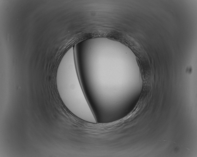 X0000097620045200802290830