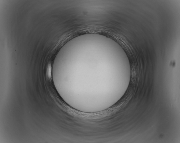 X0000097620046200802290830