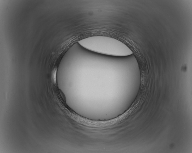X0000097620047200802290830