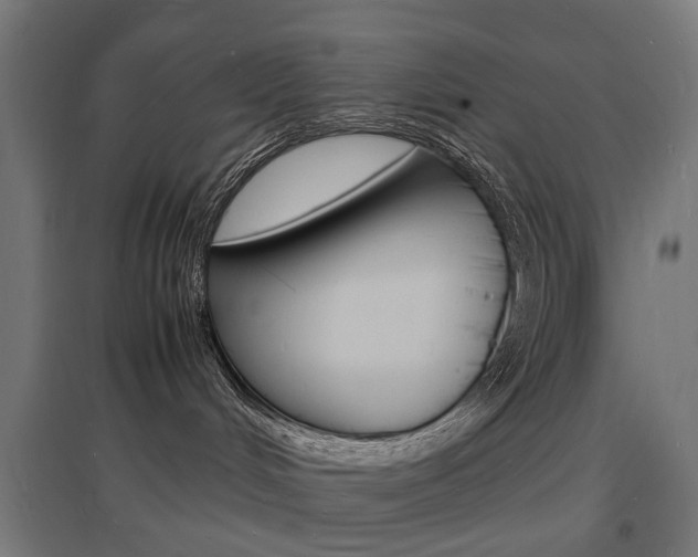 X0000097620048200802290830