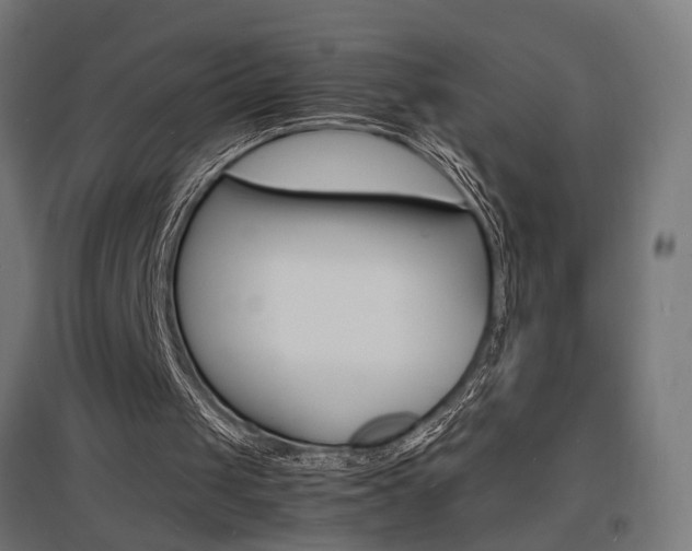 X0000097620049200802290829
