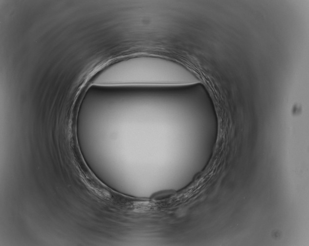 X0000097620050200802290829