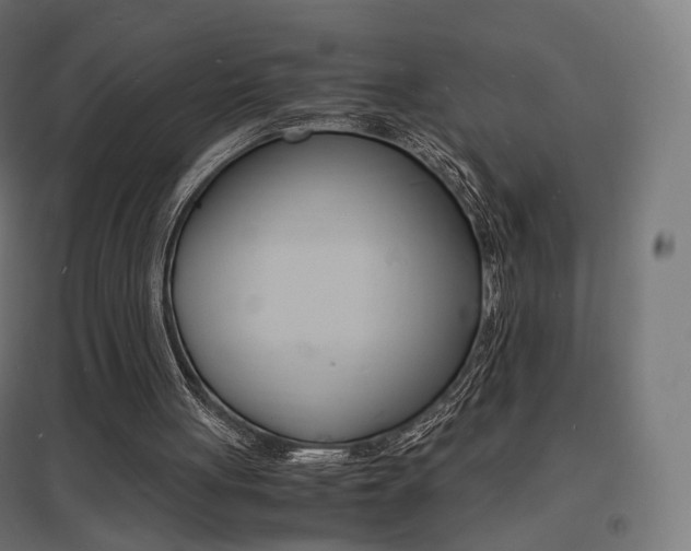X0000097620051200802290829