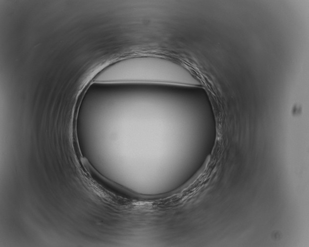 X0000097620052200802290829