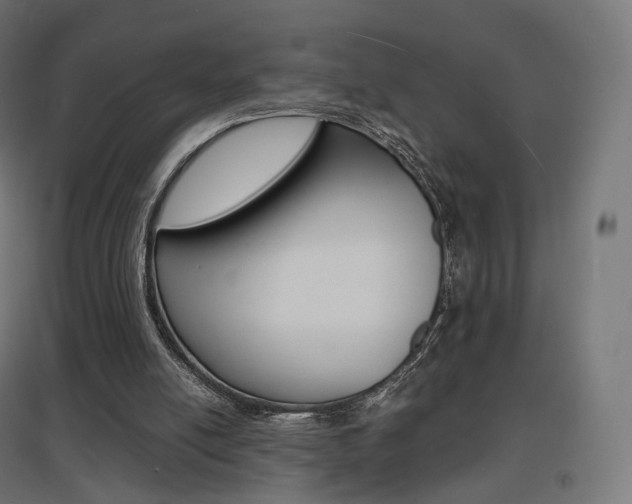 X0000097620054200802290829