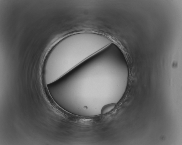 X0000097620055200802290829