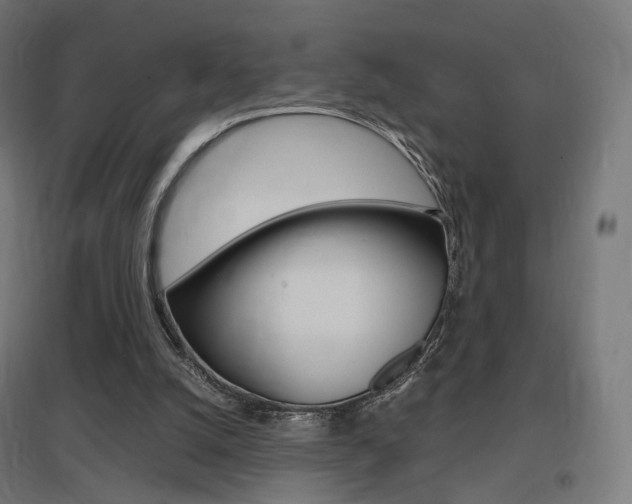 X0000097620056200802290829