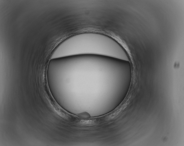 X0000097620057200802290829