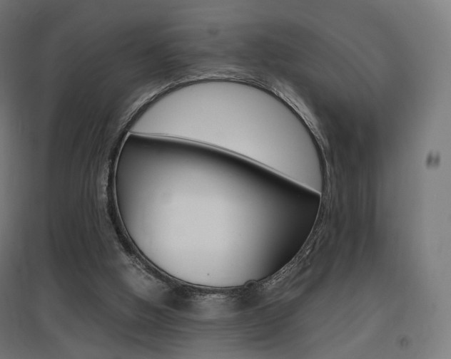 X0000097620058200802290829