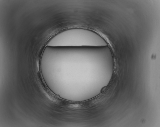 X0000097620061200802290830
