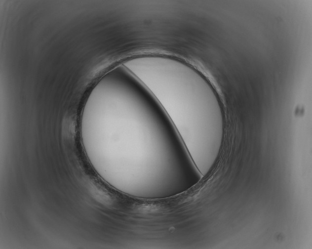 X0000097620063200802290830
