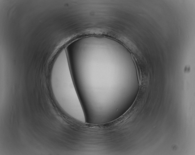 X0000097620064200802290830