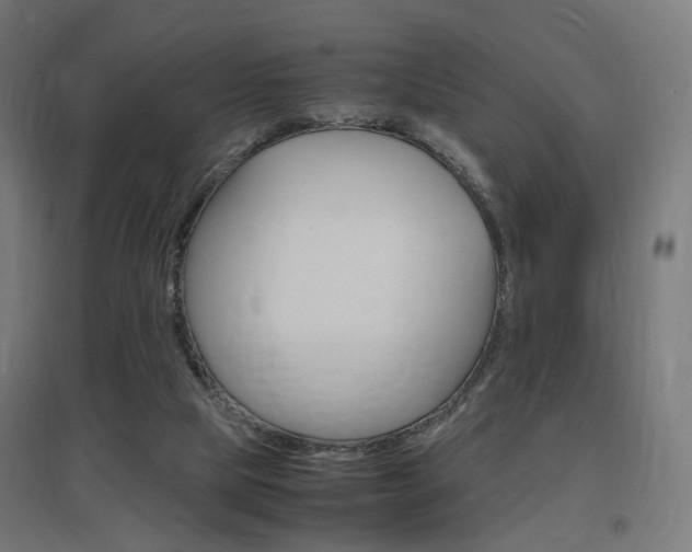 X0000097620065200802290830