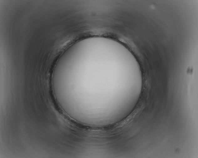 X0000097620066200802290830