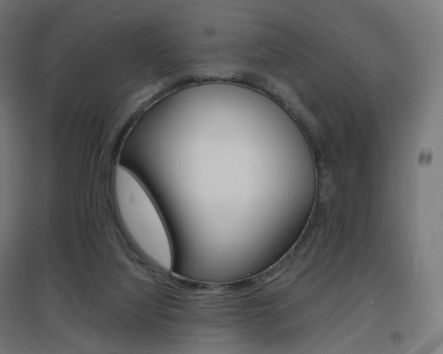 X0000097620068200802290830