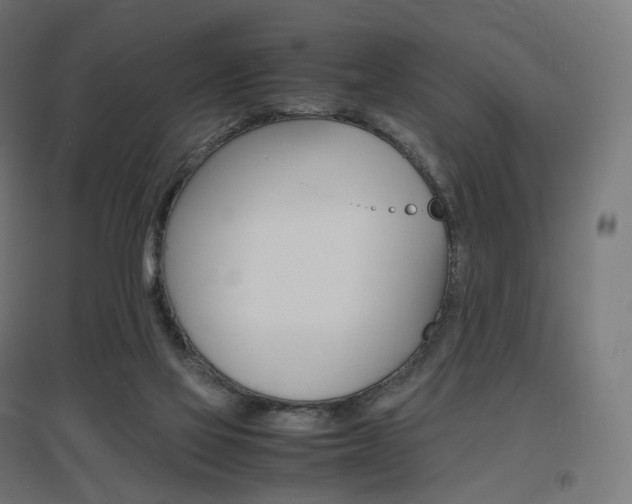 X0000097620069200802290830