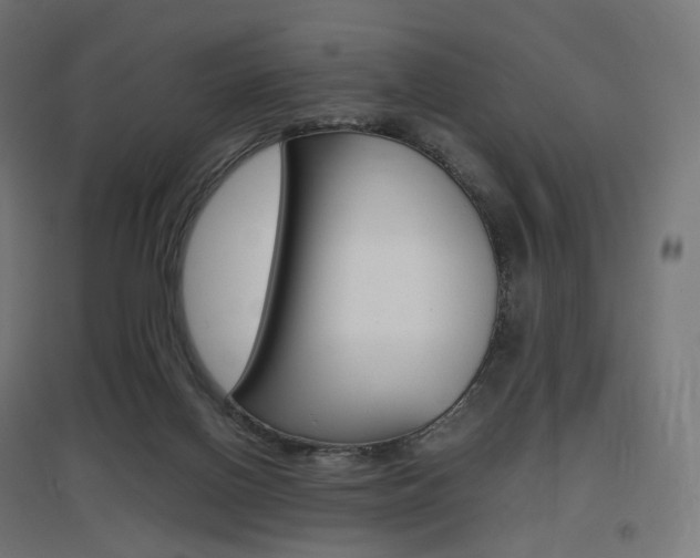 X0000097620070200802290830
