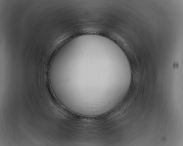 X0000097620071200802290830