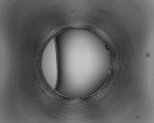 X0000097620072200802290830