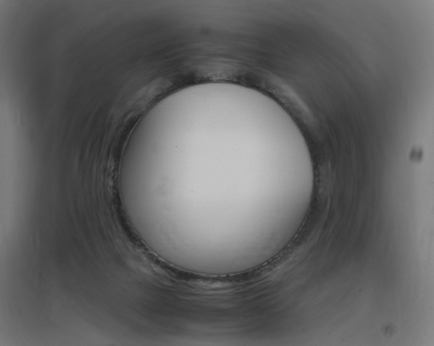 X0000097620073200802290830