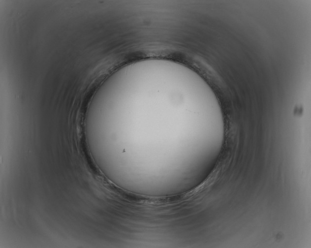 X0000097620074200802290830