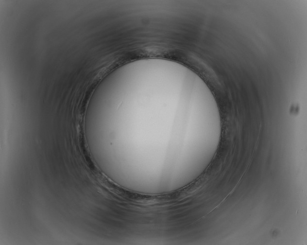 X0000097620075200802290830