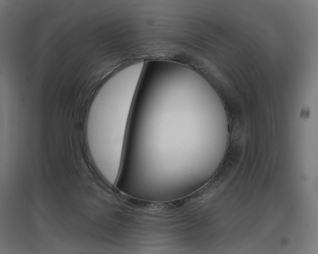 X0000097620076200802290830